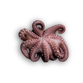 Brasmar Cleaned and Gutted Octopus 1-2KG