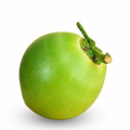 Coconut Fresh (each)