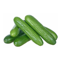 Cucumber Mini (kg)