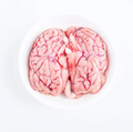 Lamb Brain (kg)
