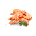 Latinus Frozen Cooked Crevettes 40-60 1KG