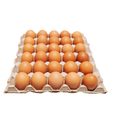 PP 30s Medium Eggs