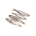 Packed Sprats 1Kg