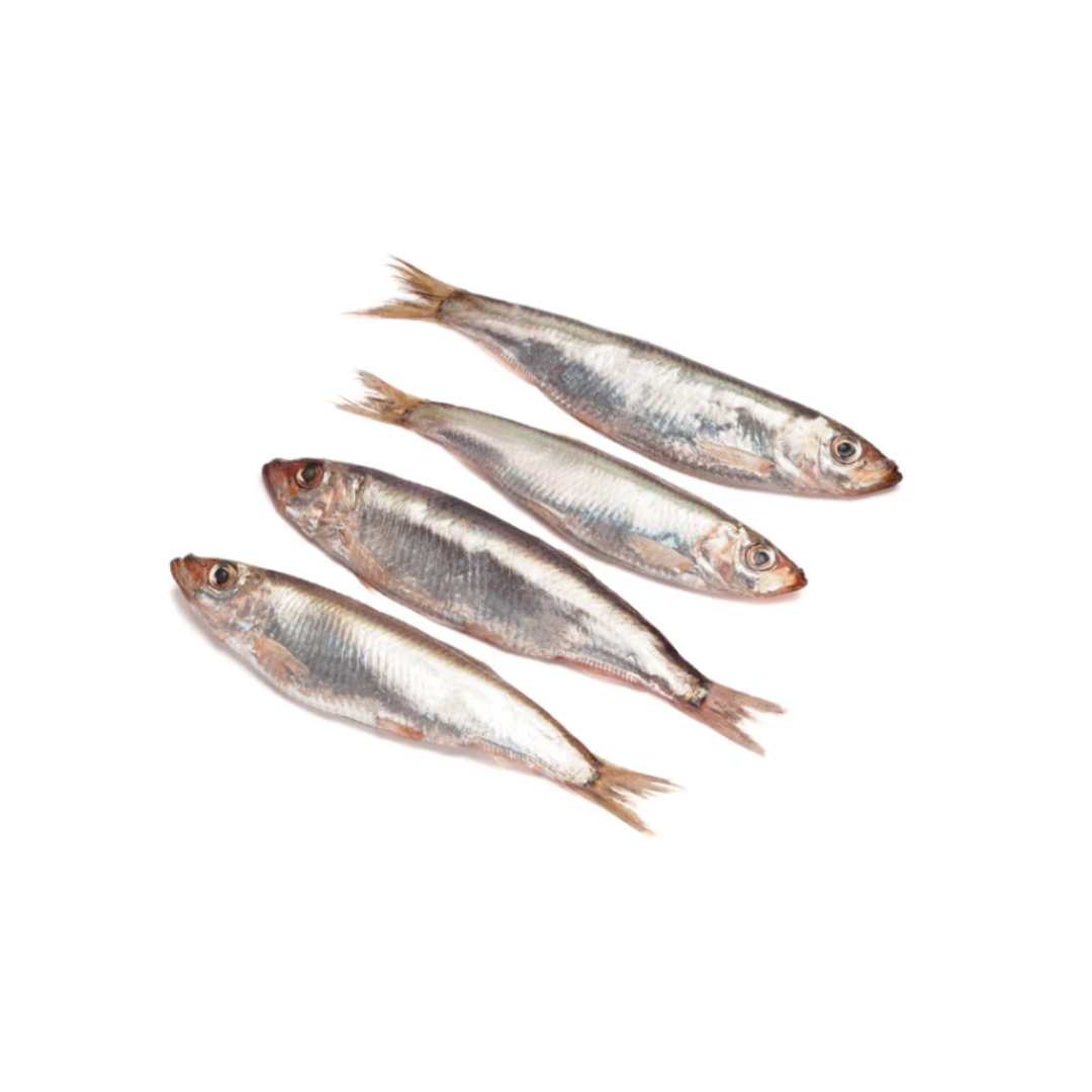 Packed Sprats 1Kg