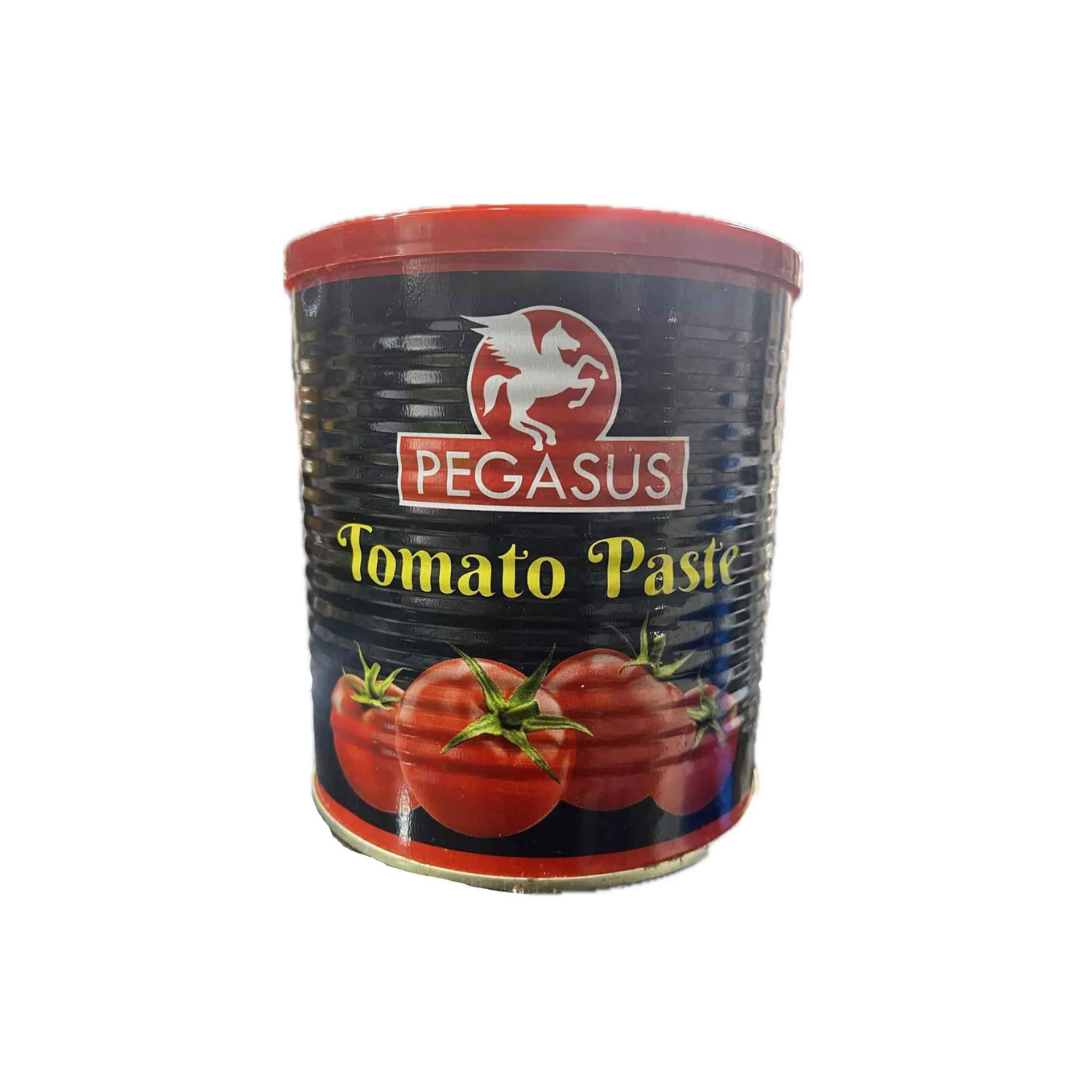 Pegasus Tomato Paste 800 Gr