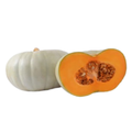 Pumkin Silver (each)