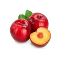 Plum Red (kg)