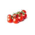 Tomato Vine