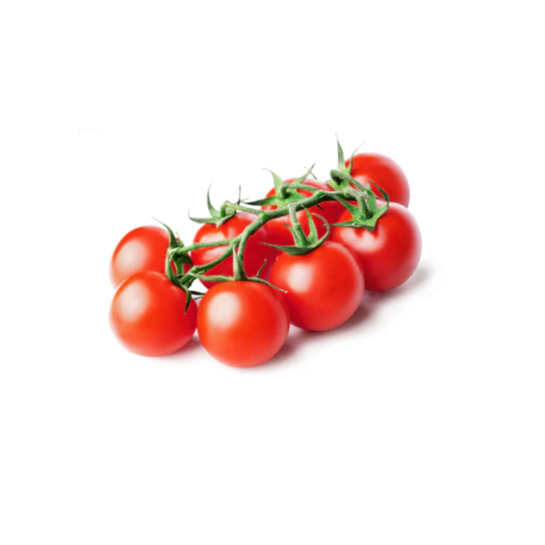 Tomato Vine