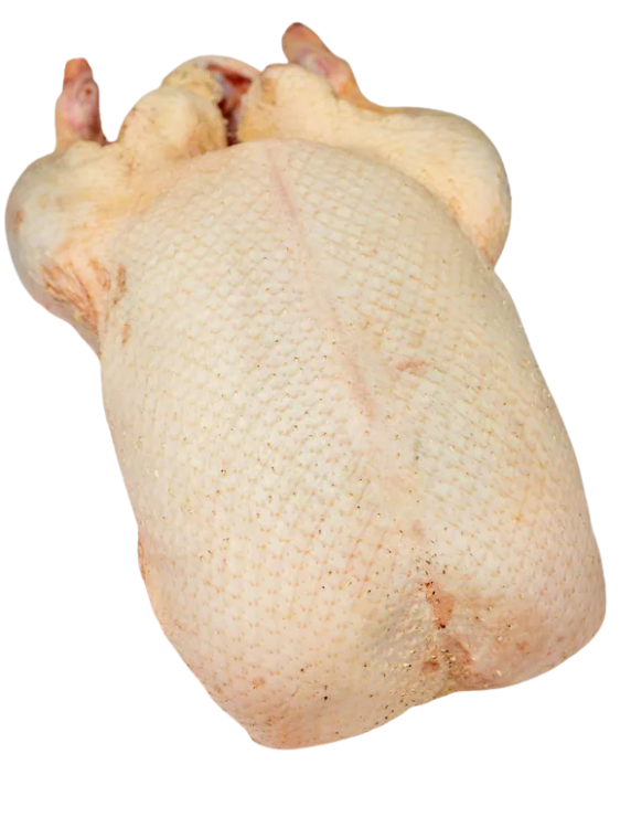 Duck Whole (kg)