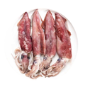 Whole Squid (kg)