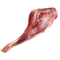 Deer Leg in Bone (kg)