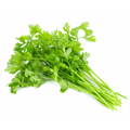 Coriander (each)