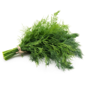 Dill (each)