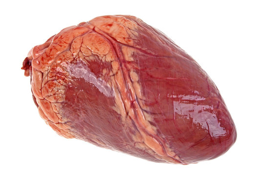 Beef Heart (kg)