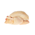 Poussin Whole (each)